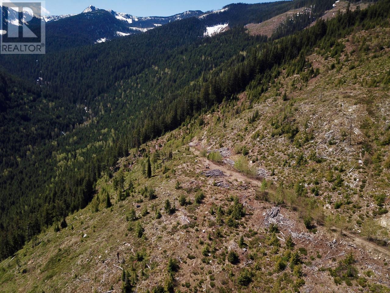  DL 1752 GIVEOUT CREEK FOREST SERVICE Road, Nelson