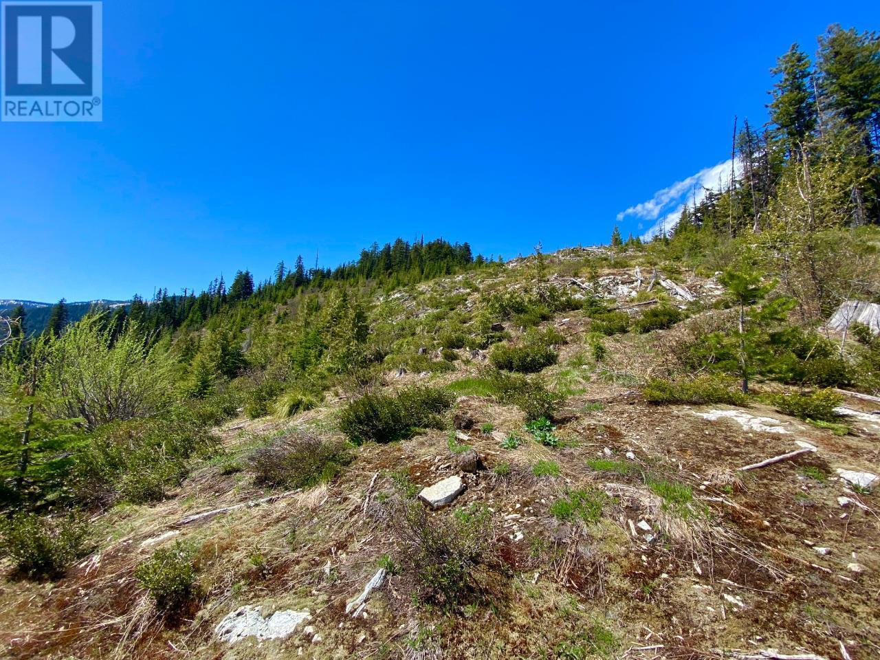 Photo 37 of Dl 1752 Giveout Creek Forest Service Road, Nelson BC