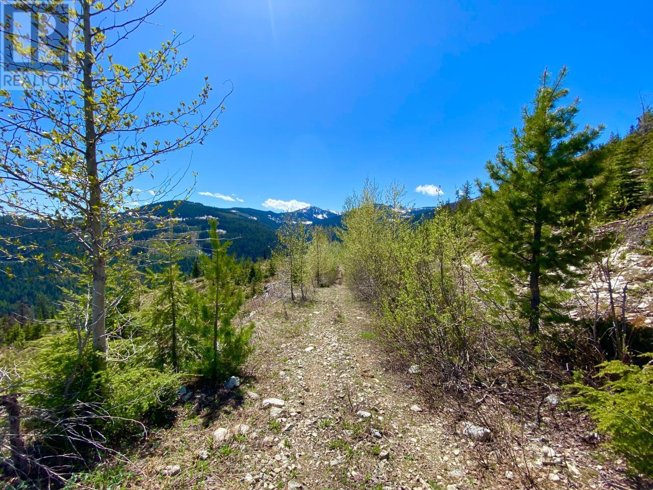 Photo 33 of Dl 1752 Giveout Creek Forest Service Road, Nelson BC