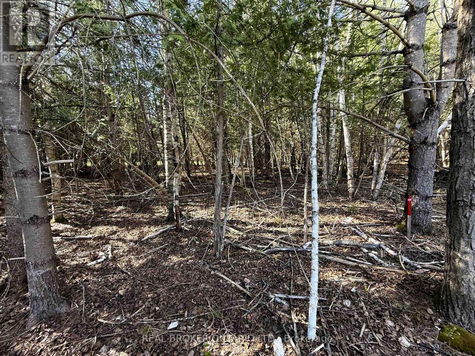 Photo 3 of Lot 2 Watsons Corners Road, Lanark Highlands ON