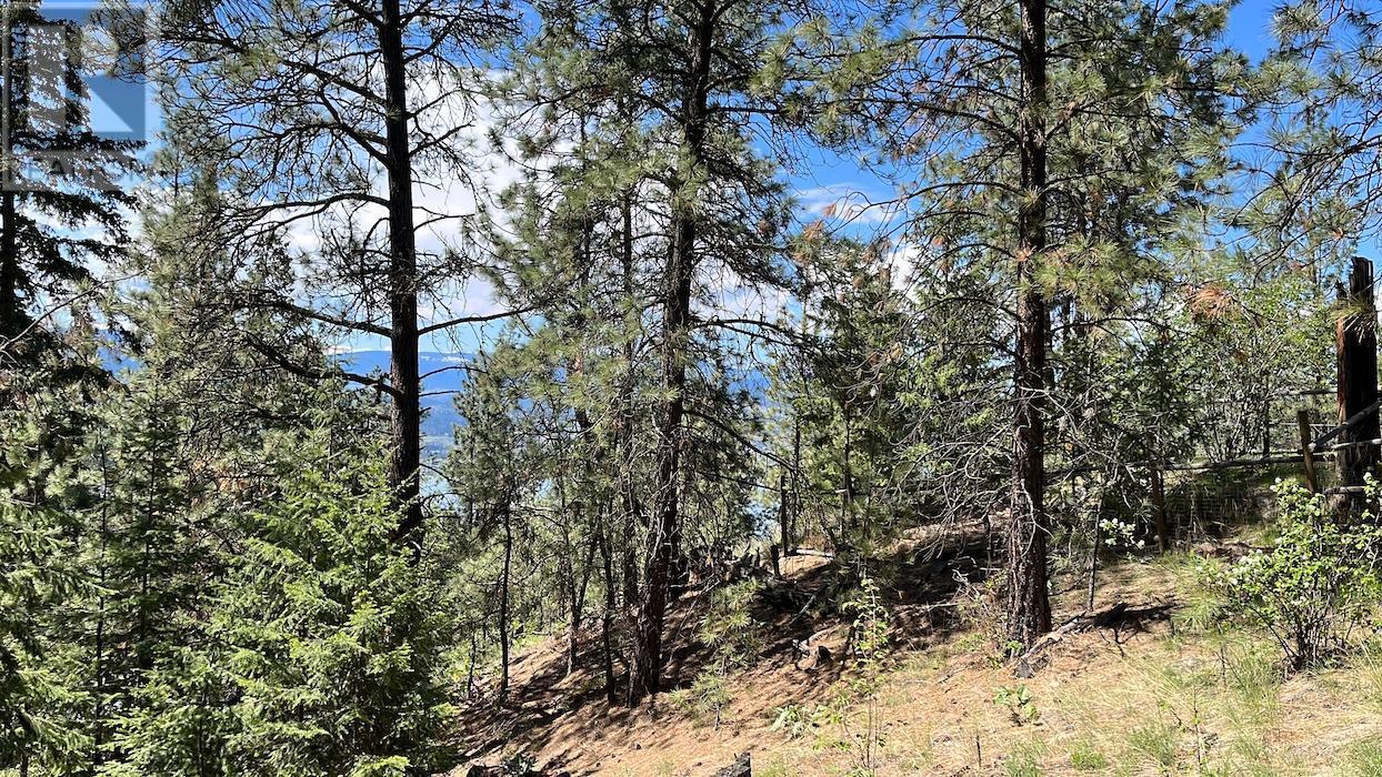 3901 COTTONWOOD Lane, Naramata