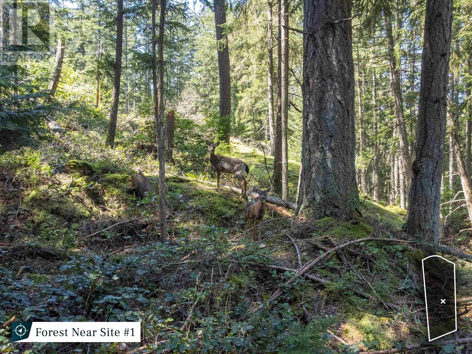 2070 CAPE DRIVE, Bowen Island