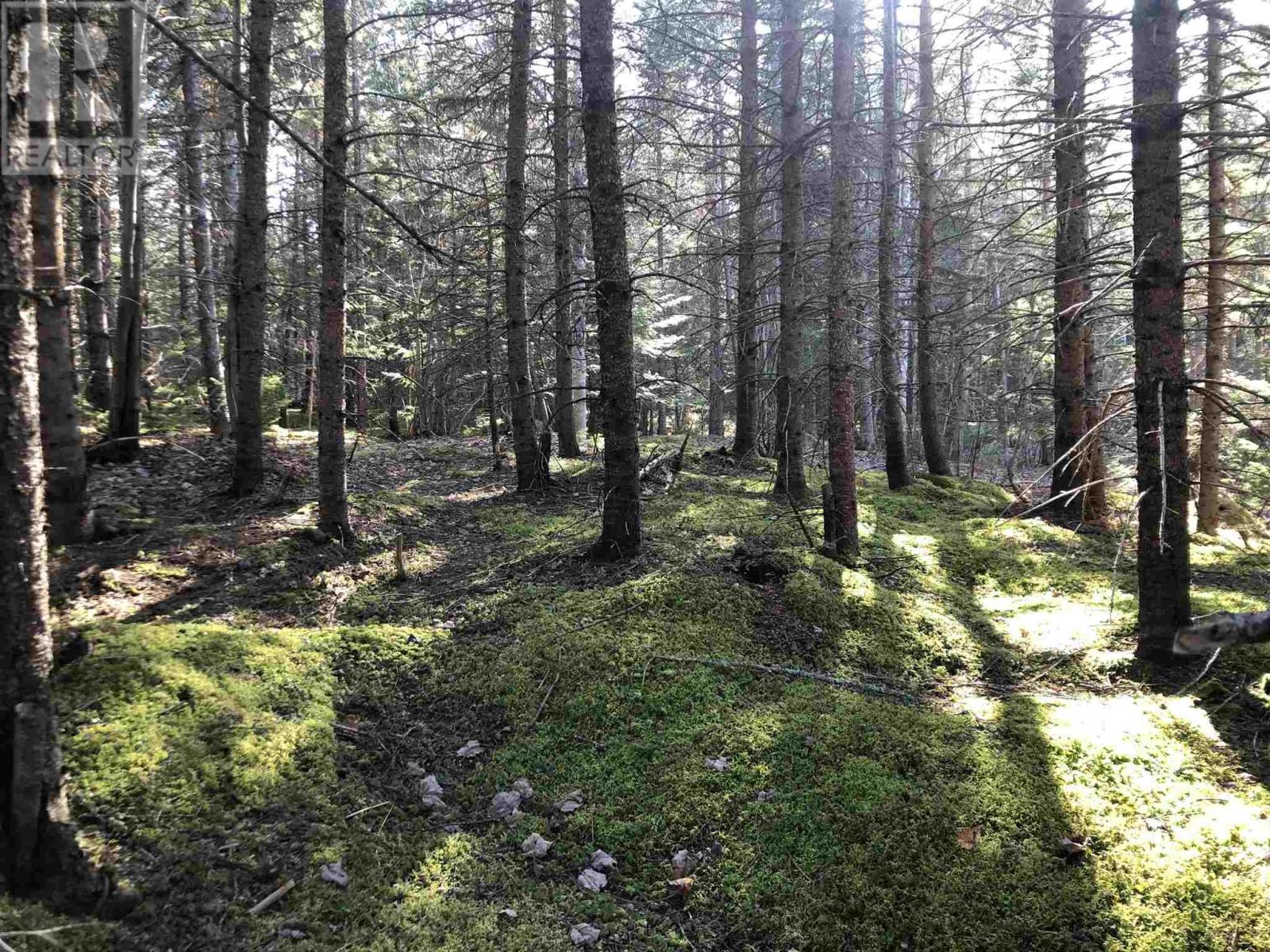 Property 4 of 14 of Cameron Road