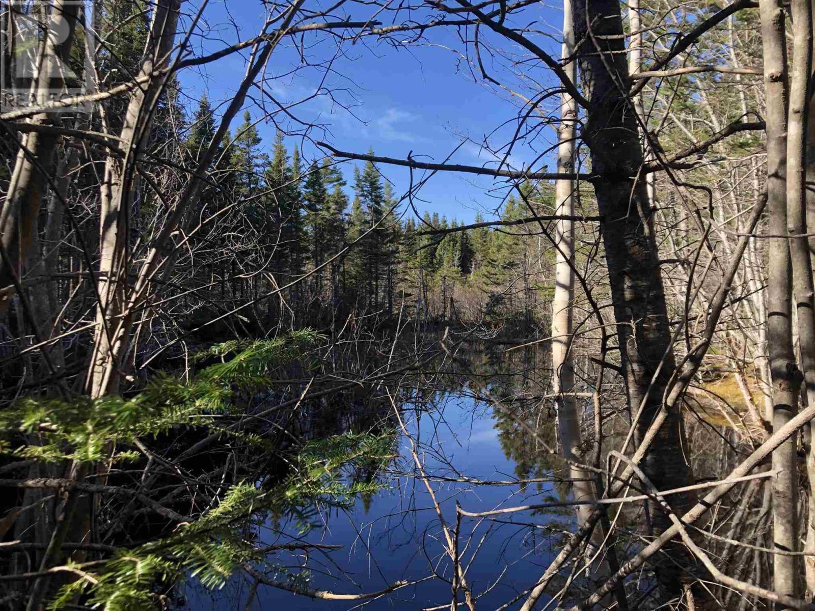 Property 5 of 14 of Cameron Road