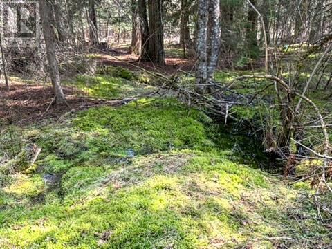 16370 Jacobson Road, Crawford Bay