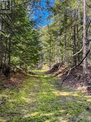 16370 Jacobson Road, Crawford Bay