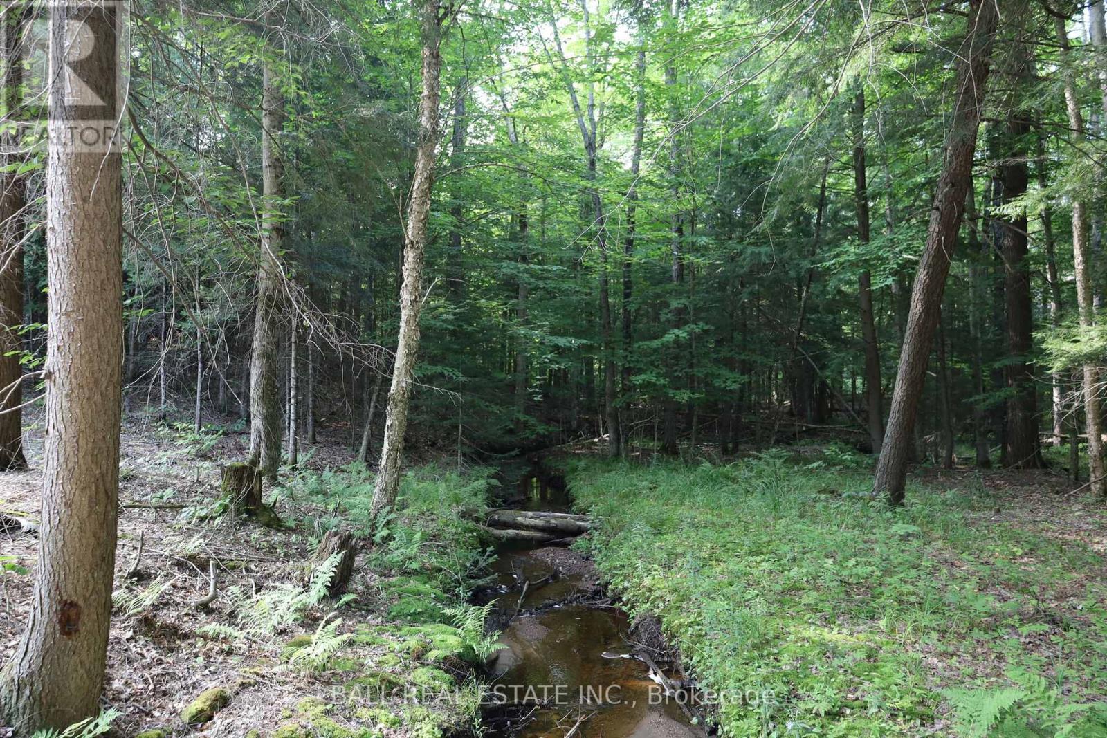 Photo 19 of 0 Ingoldsby Road, Minden Hills ON