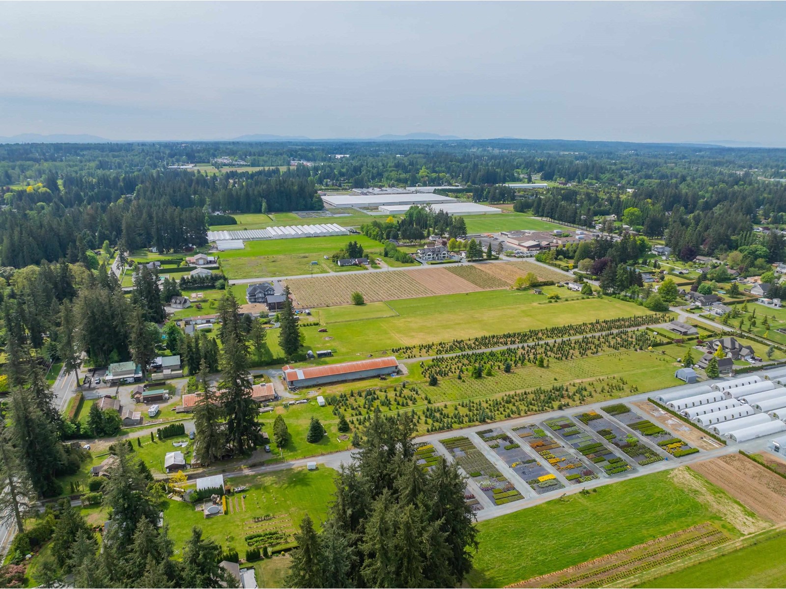 Photo 7 of 5281 240 Street, Langley BC