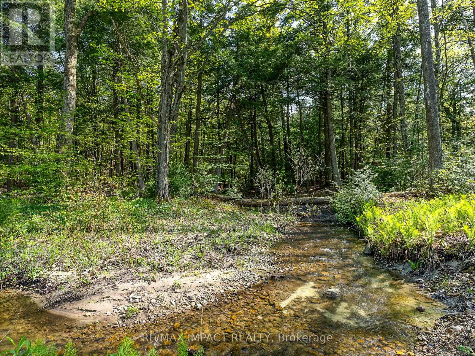 Photo 40 of 16899 Telephone Road, Quinte West ON