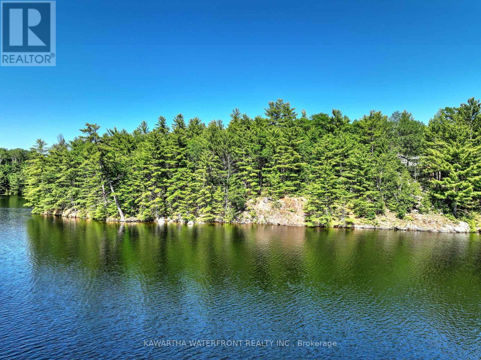 Photo 6 of 99 Fire Route 394 Route, Trent Lakes ON
