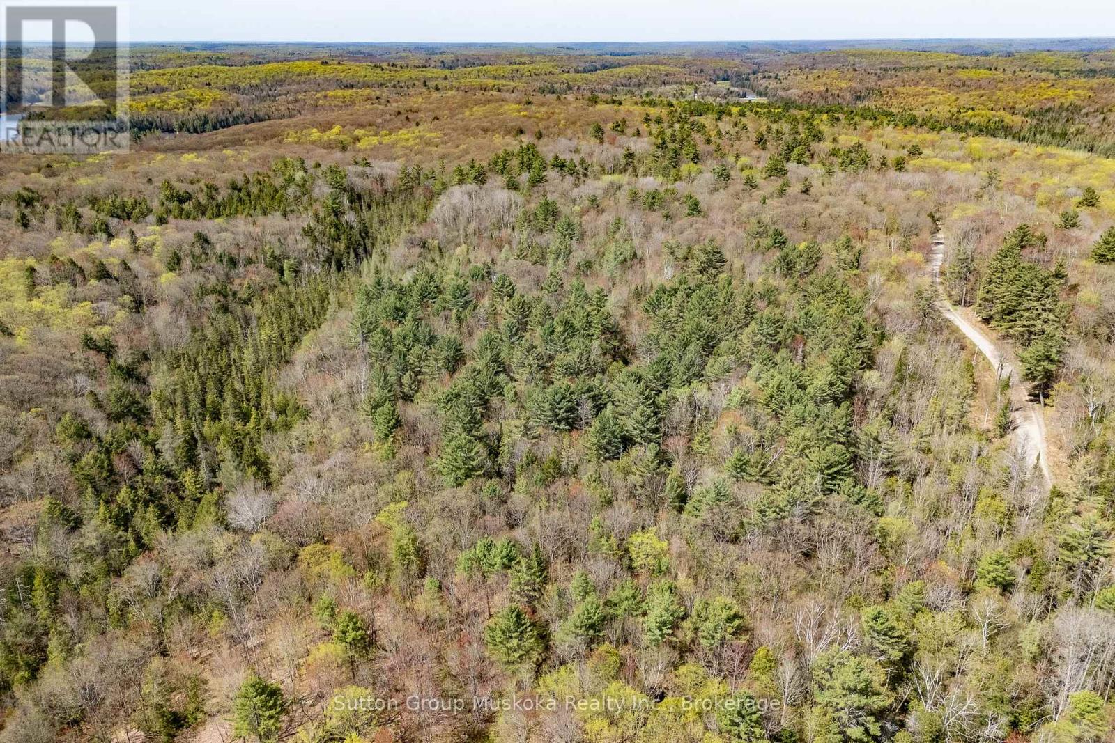 Photo 2 of 1667 Paint Lake Road, Lake Of Bays ON