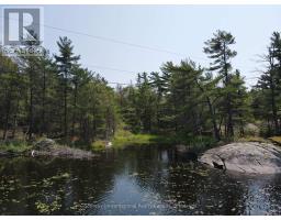 4648 Is 2190 Georgian Bay, Georgian Bay, ON P0C1H0 Photo 9
