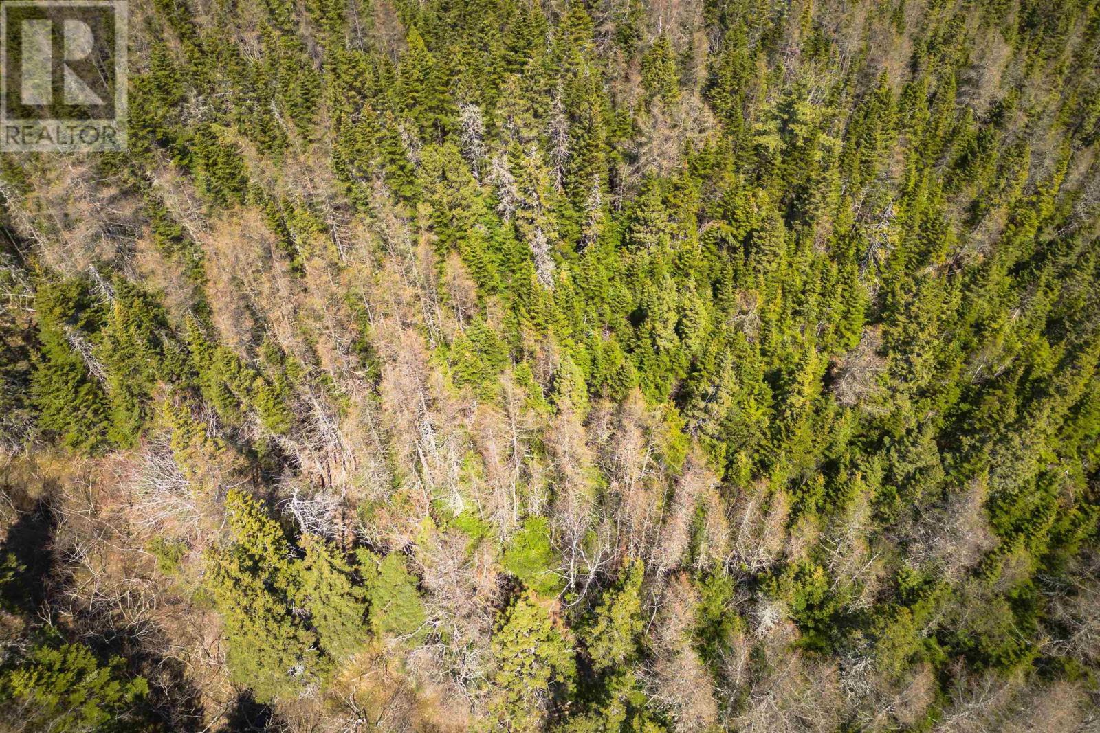 Property 8 of 15 of Lot 6 Highway 4