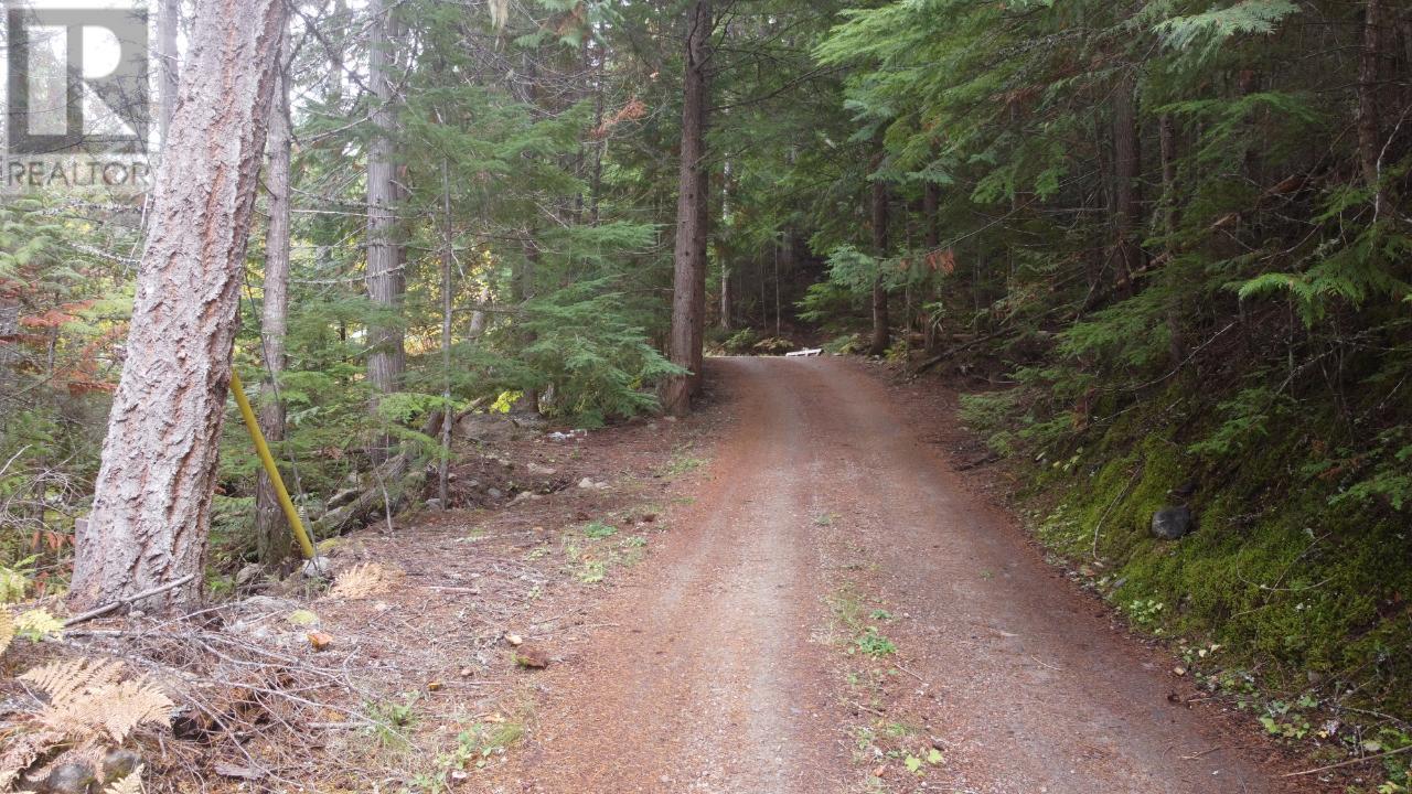 Photo 16 of 4820 6 Highway, Winlaw BC