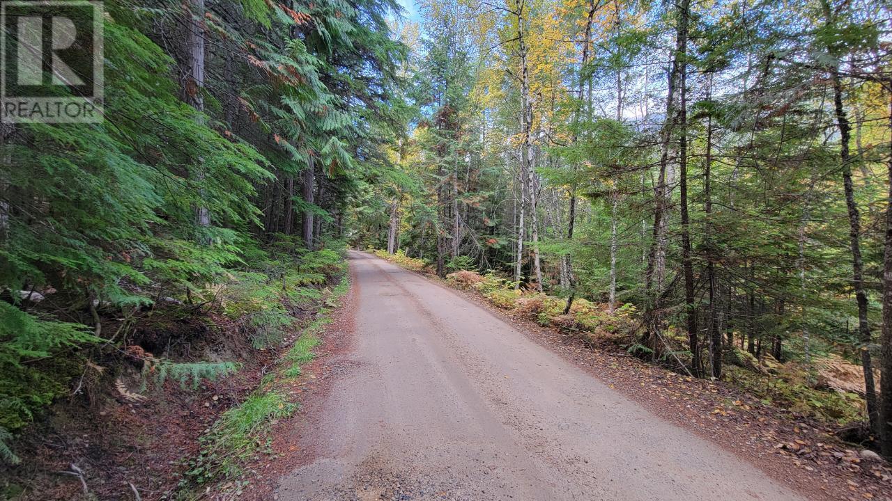 Photo 15 of 4820 6 Highway, Winlaw BC
