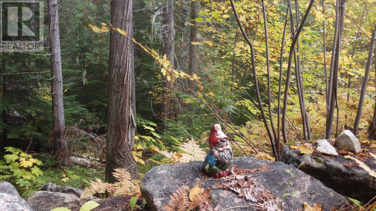 Photo 7 of 4820 6 Highway, Winlaw BC