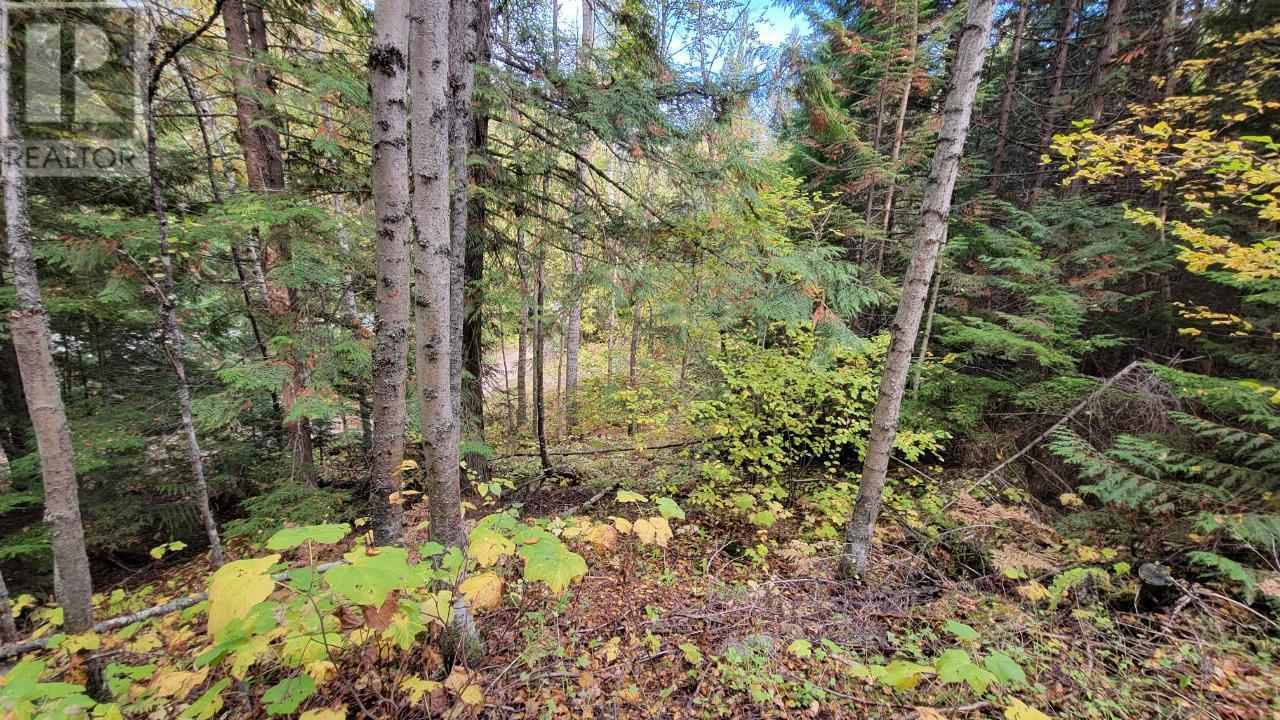 Photo 13 of 4820 6 Highway, Winlaw BC
