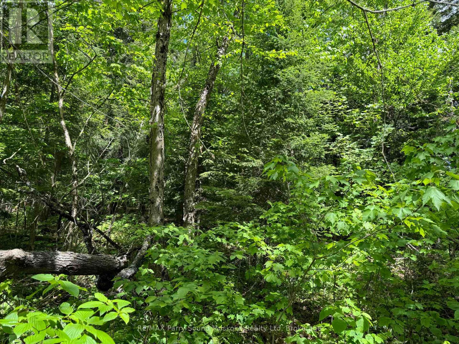 Photo 10 of 1 22342 East Road, Parry Sound Remote Area ON