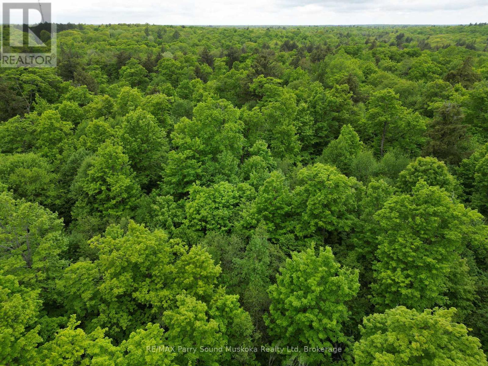 Photo 5 of 1 22342 East Road, Parry Sound Remote Area ON