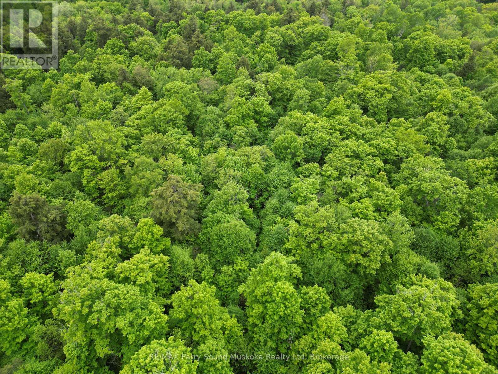 Photo 6 of 1 22342 East Road, Parry Sound Remote Area ON