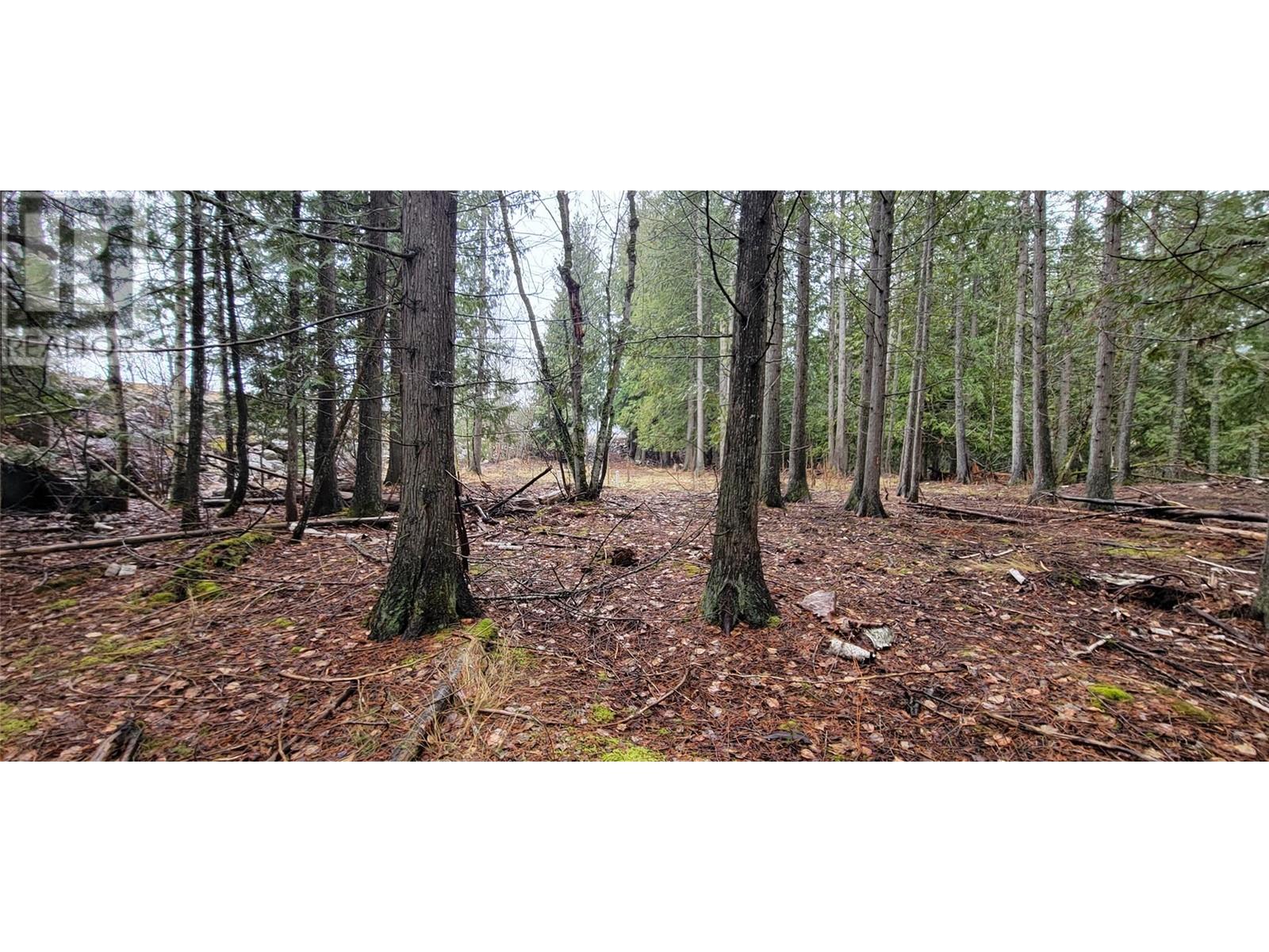 Photo 5 of 158 Rosebery Road, Rosebery BC