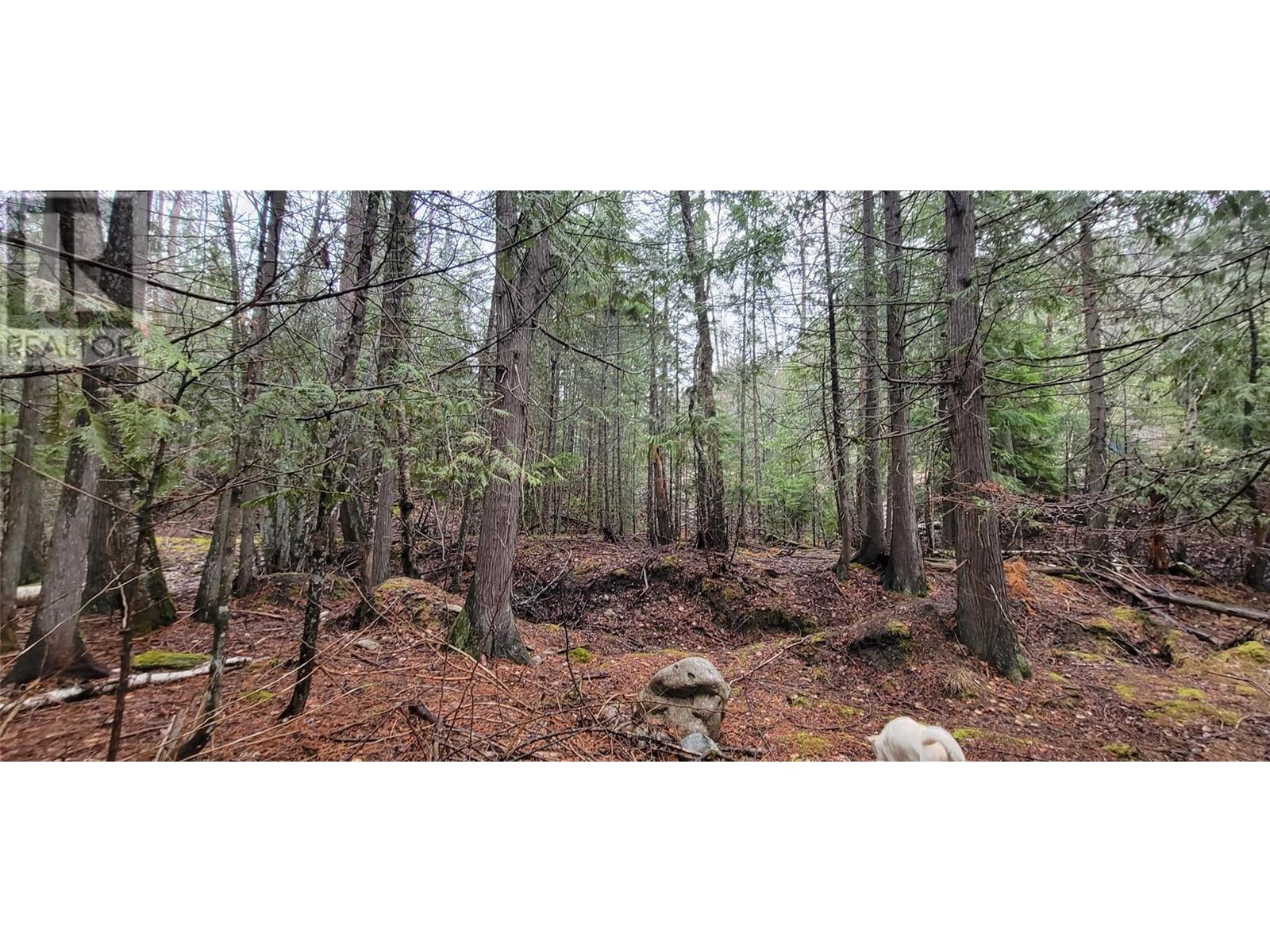 Photo 4 of 158 Rosebery Road, Rosebery BC