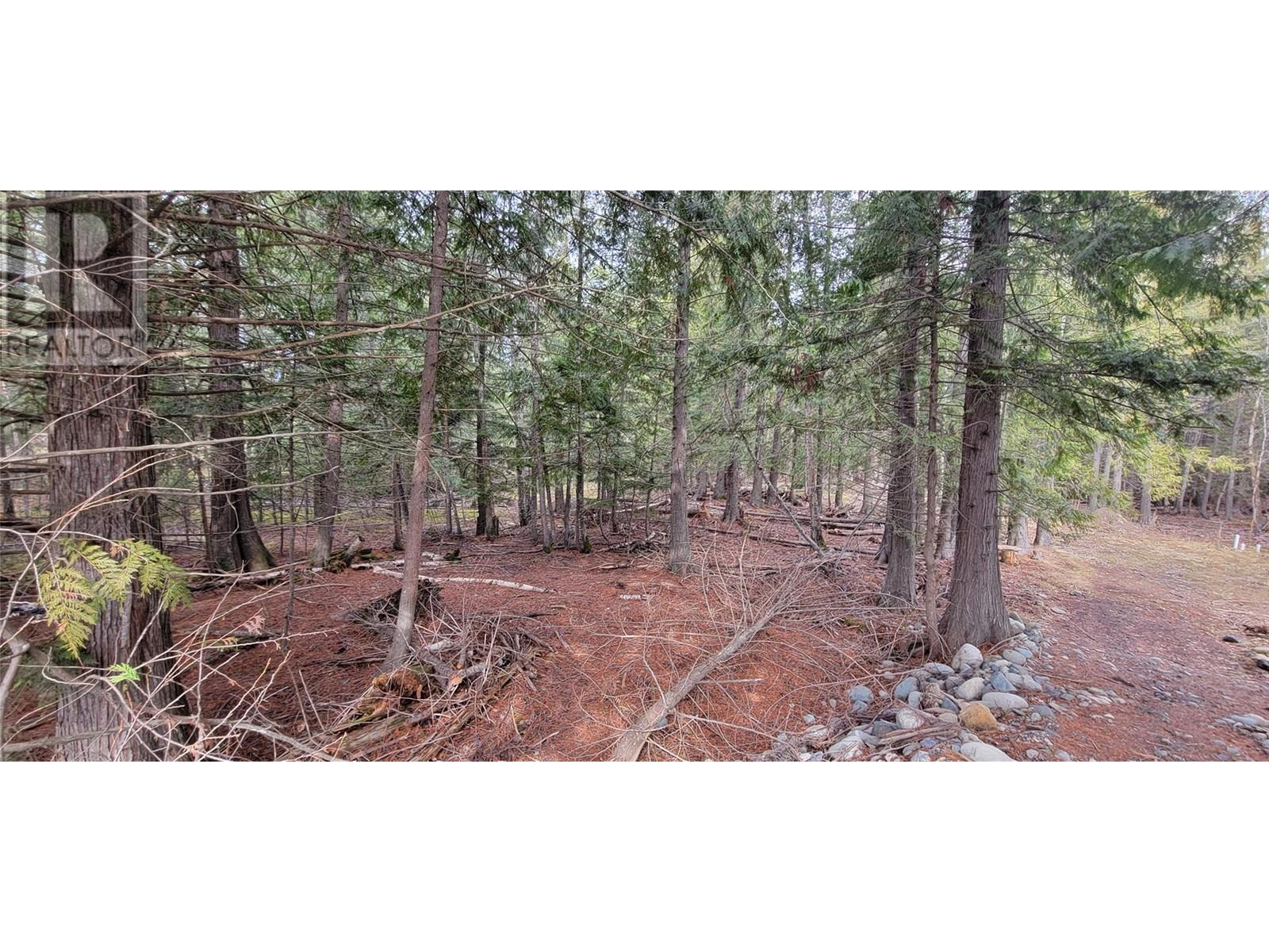 Photo 10 of 158 Rosebery Road, Rosebery BC