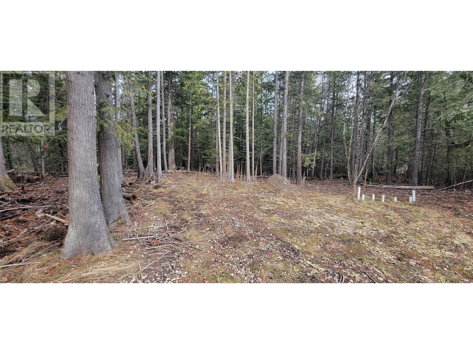Photo 11 of 158 Rosebery Road, Rosebery BC