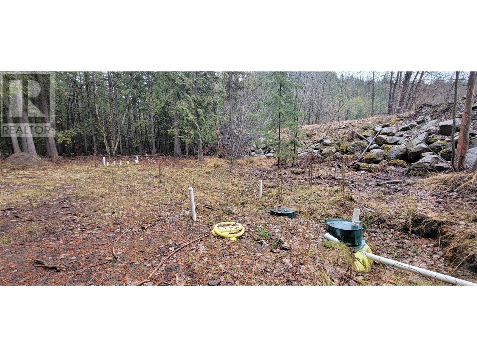 Photo 9 of 158 Rosebery Road, Rosebery BC