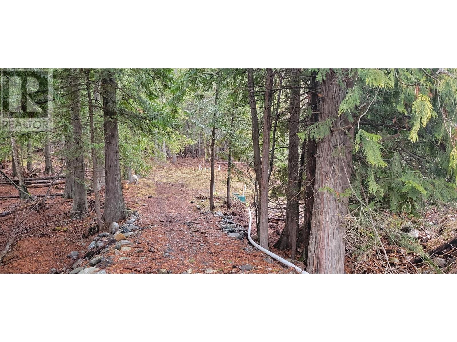 Photo 6 of 158 Rosebery Road, Rosebery BC