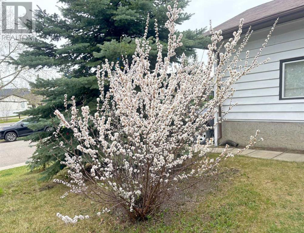 Single Family House for Sale in  Woodmont Way SW Woodbine Calgary 