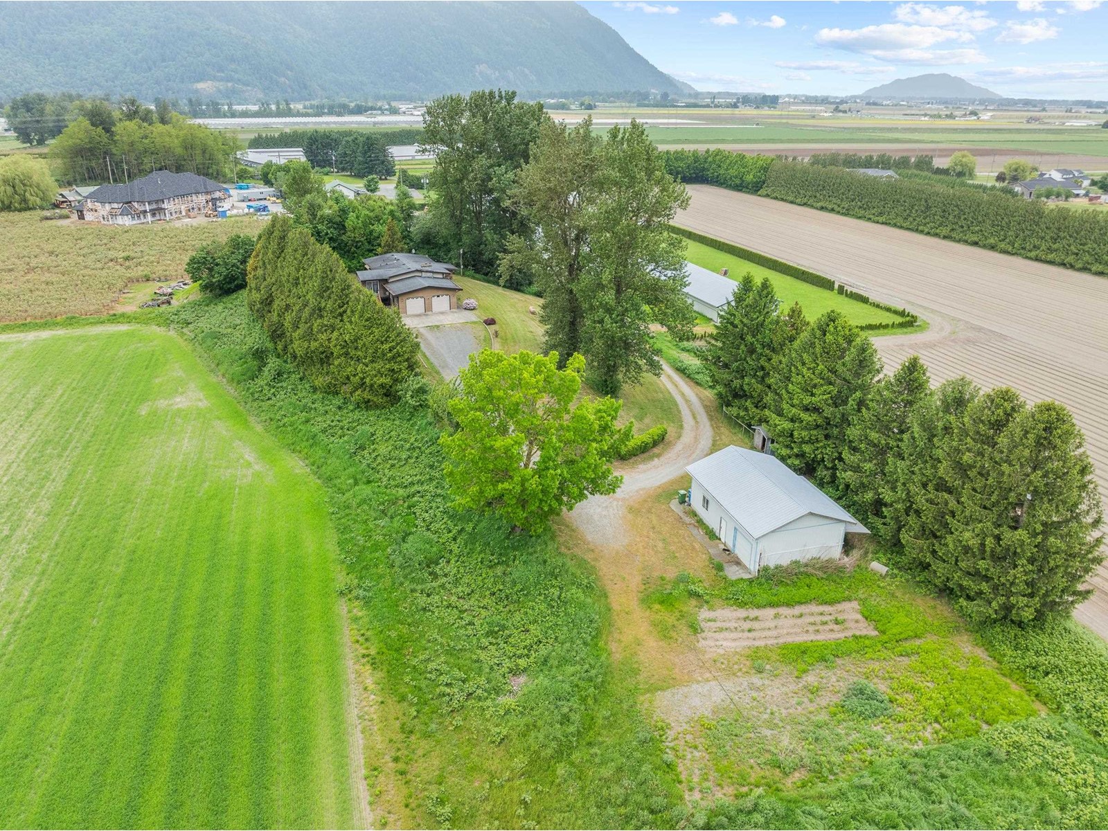 Photo 18 of 38604 No 5 Road, Abbotsford BC