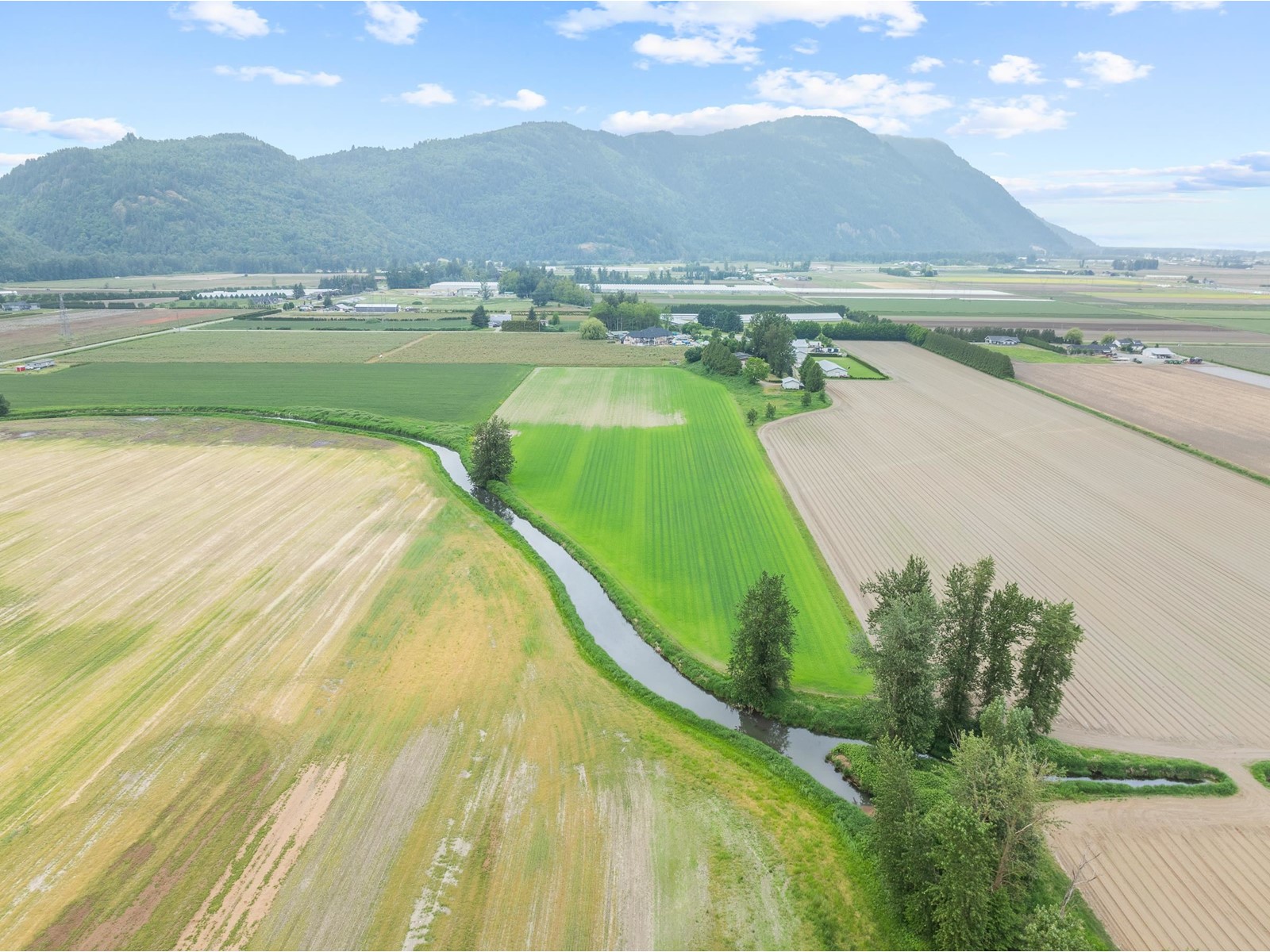 Photo 7 of 38604 No 5 Road, Abbotsford BC