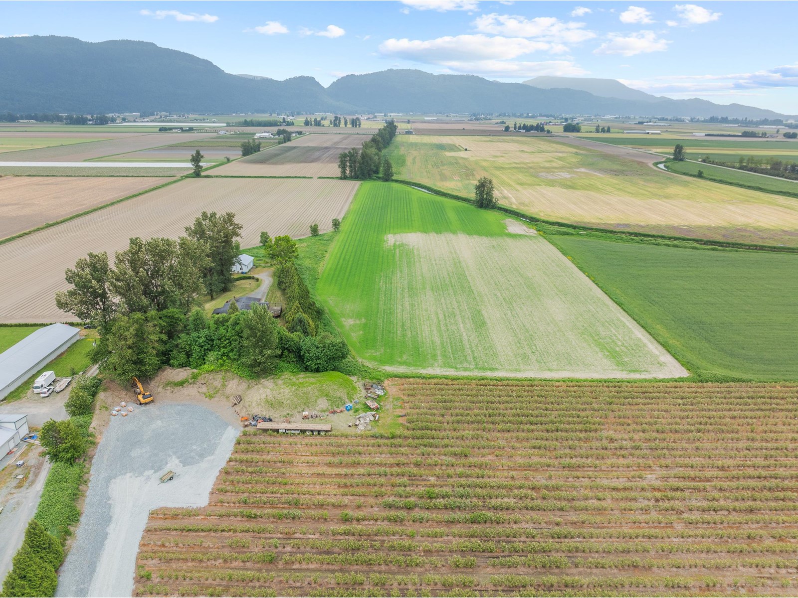 Photo 11 of 38604 No 5 Road, Abbotsford BC