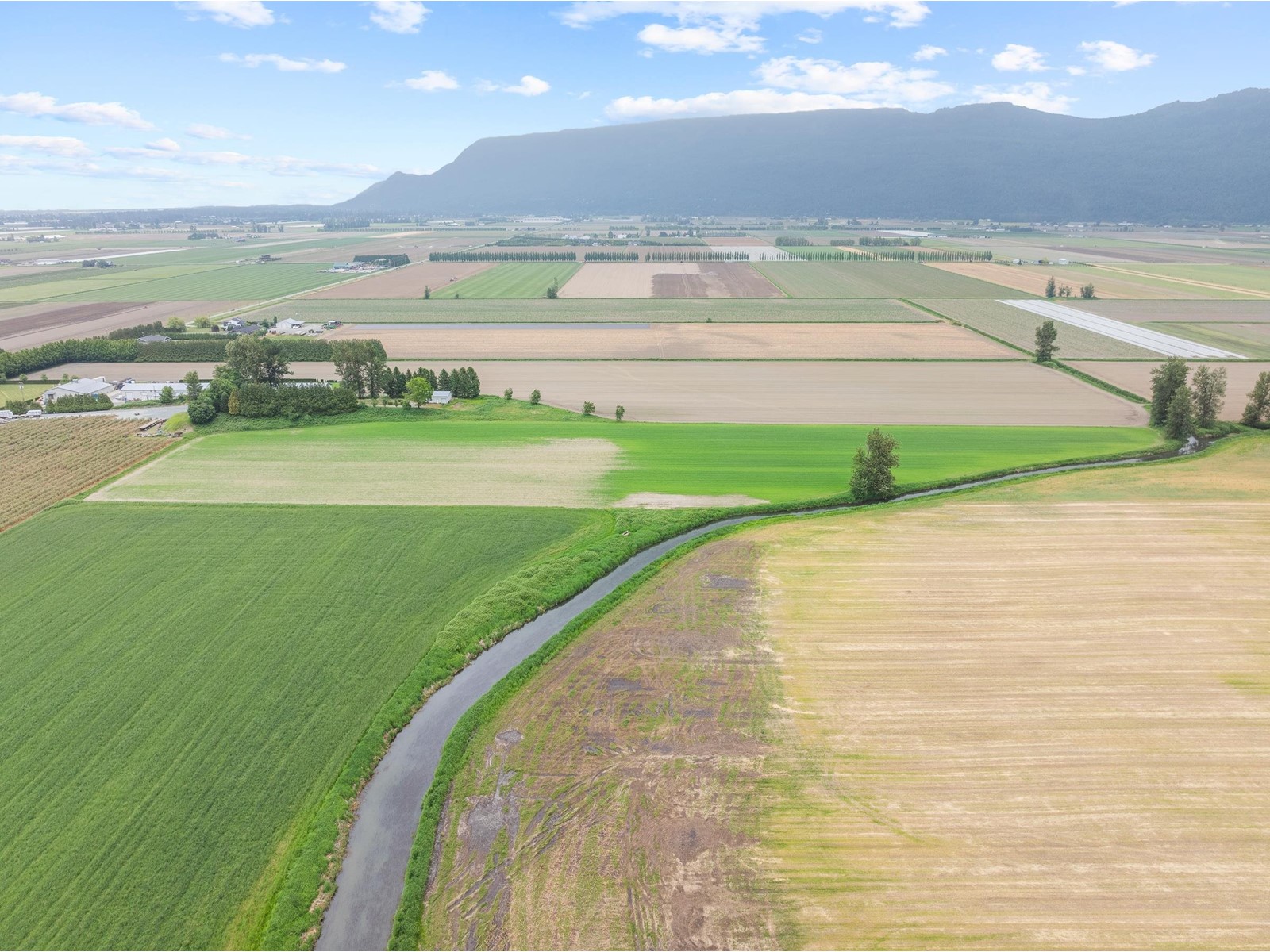 Photo 16 of 38604 No 5 Road, Abbotsford BC