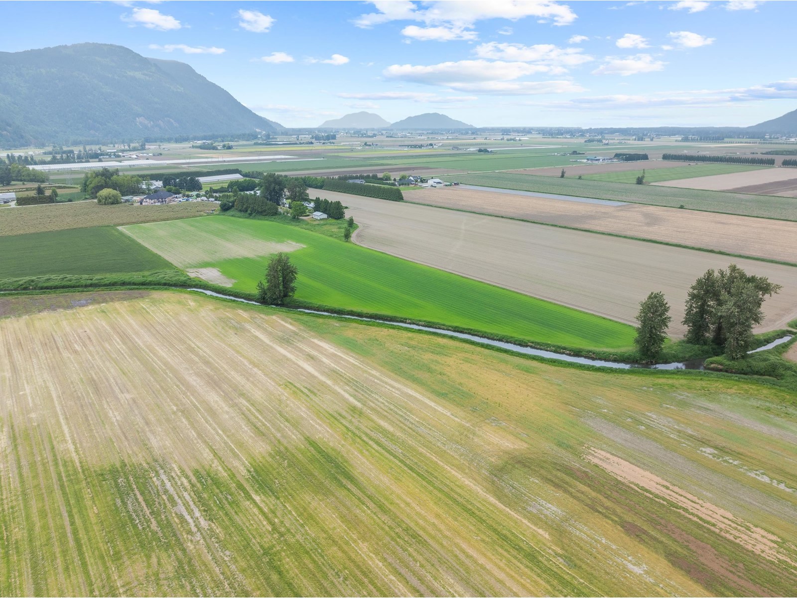 Photo 12 of 38604 No 5 Road, Abbotsford BC