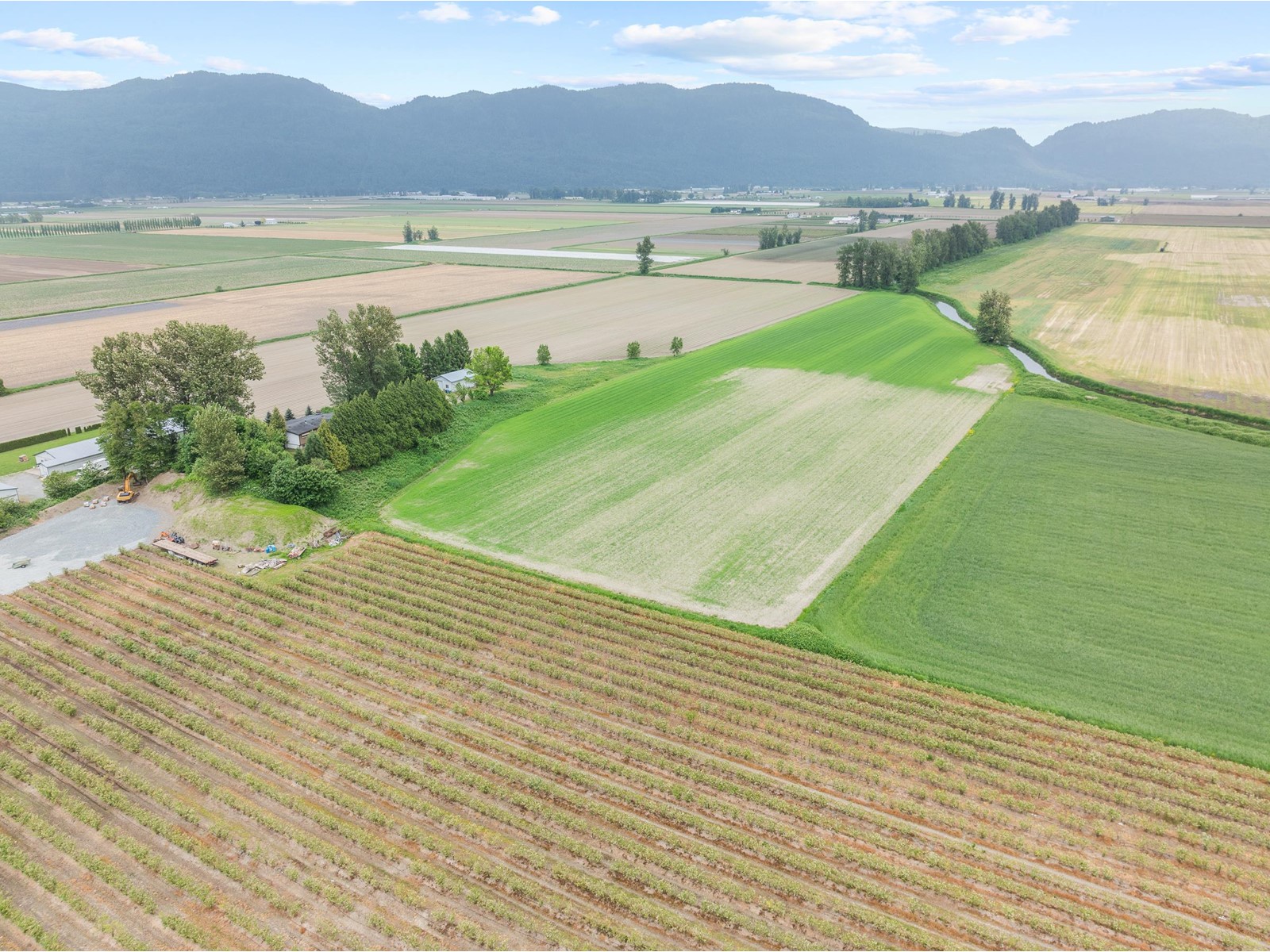 Photo 6 of 38604 No 5 Road, Abbotsford BC