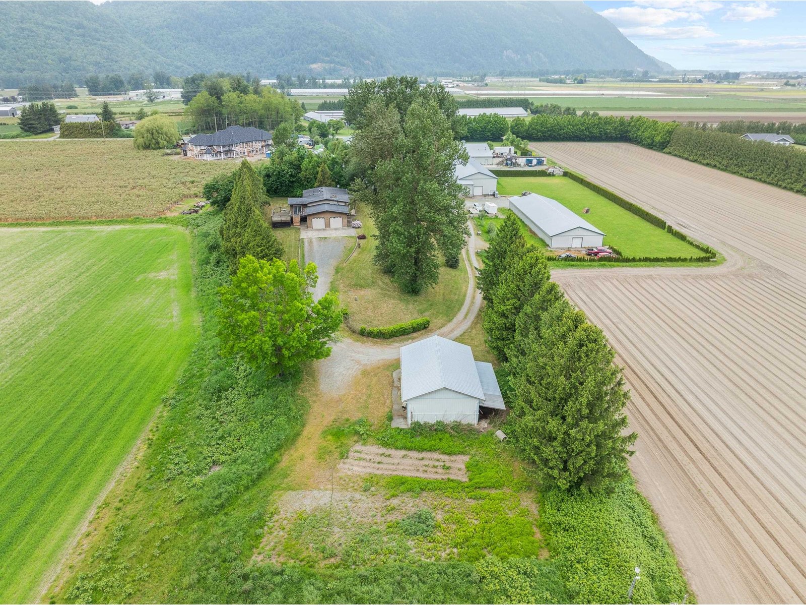 Photo 1 of 38604 No 5 Road, Abbotsford BC