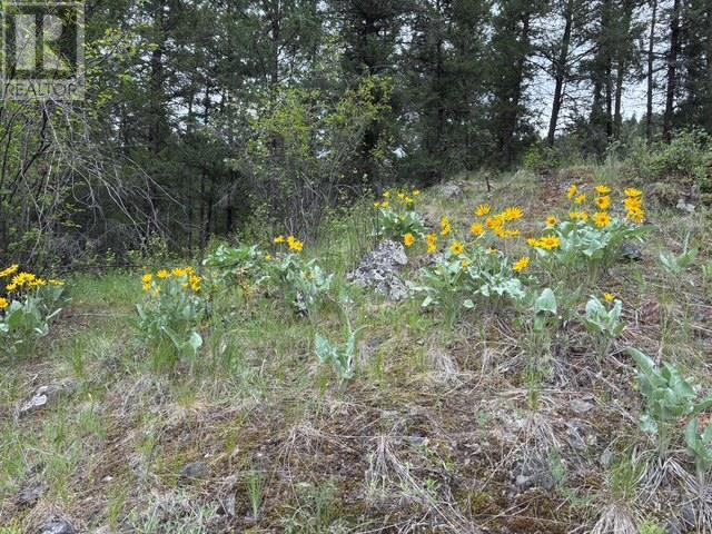 3900 Highway 3, Rock Creek