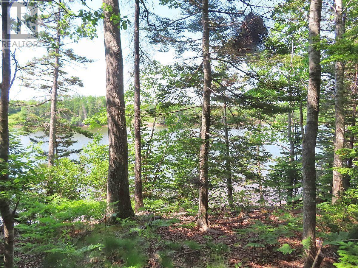 Property 10 of 31 of Lot 12A Dorothy Robinson Drive