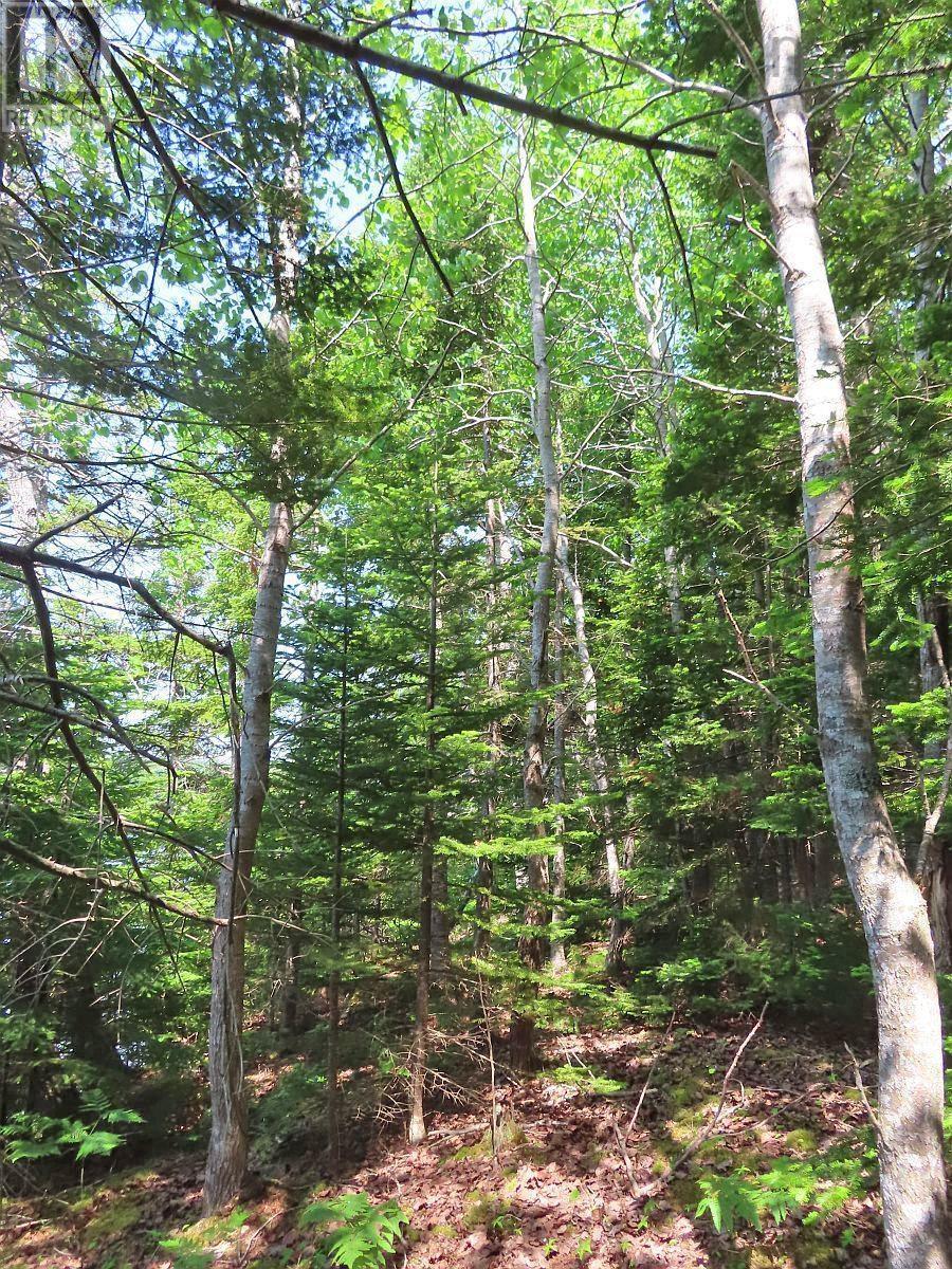 Property 18 of 31 of Lot 12A Dorothy Robinson Drive