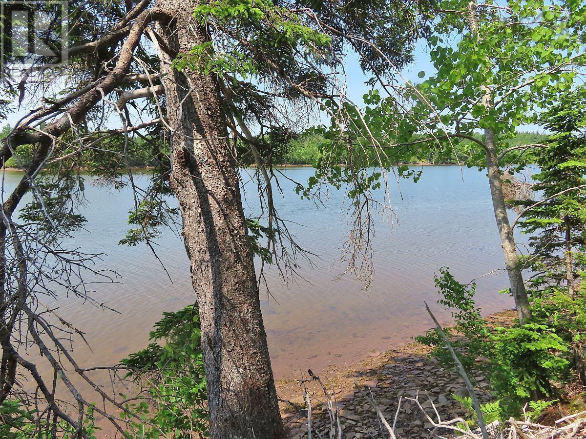 Property 6 of 31 of Lot 12A Dorothy Robinson Drive