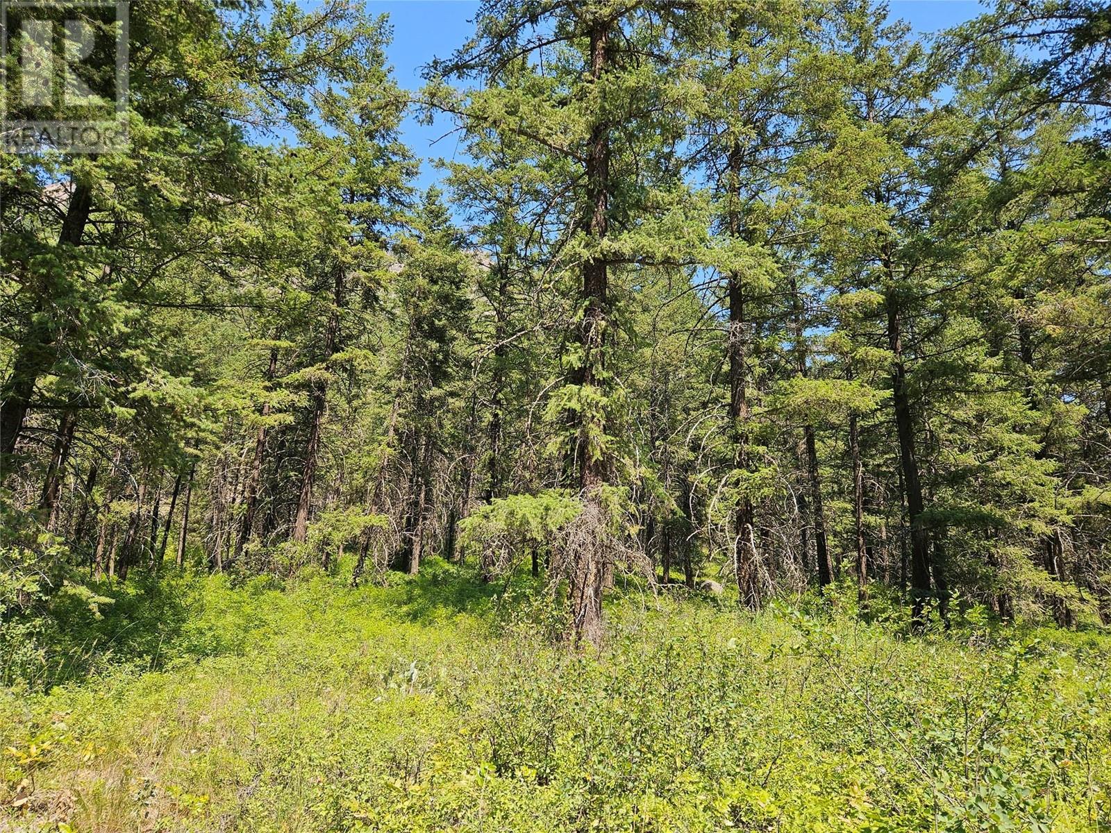  Lot A White Lake Road, Kaleden
