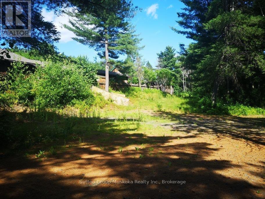 Photo 9 of 2832 Highway 60 Highway, Lake Of Bays ON