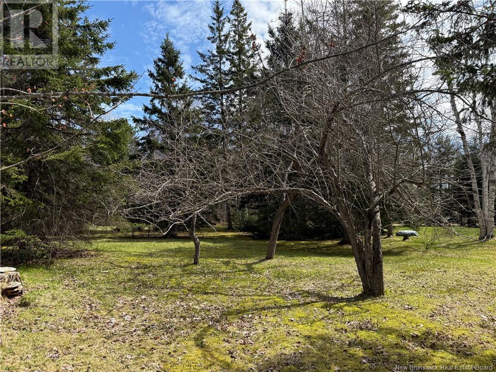 Photo 45 of Camp Upper Aboujagane Road, Hauteaboujagane NB