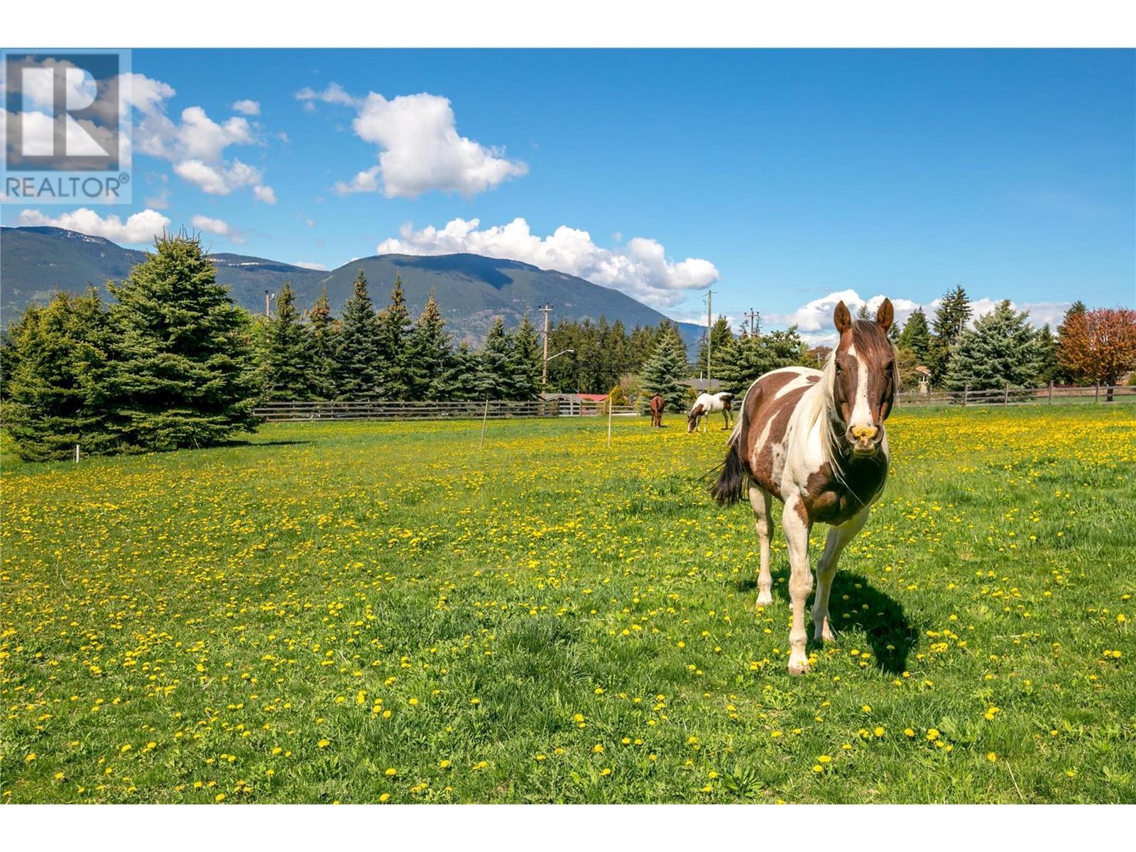  2190 30 Street Northeast, Salmon Arm