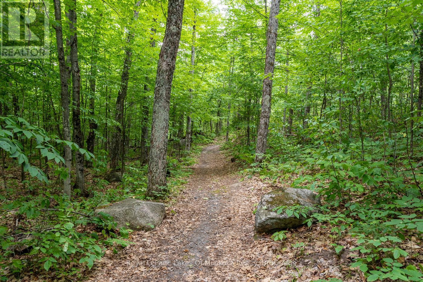 Photo 29 of 32 Maple Leaf Drive, Huntsville ON