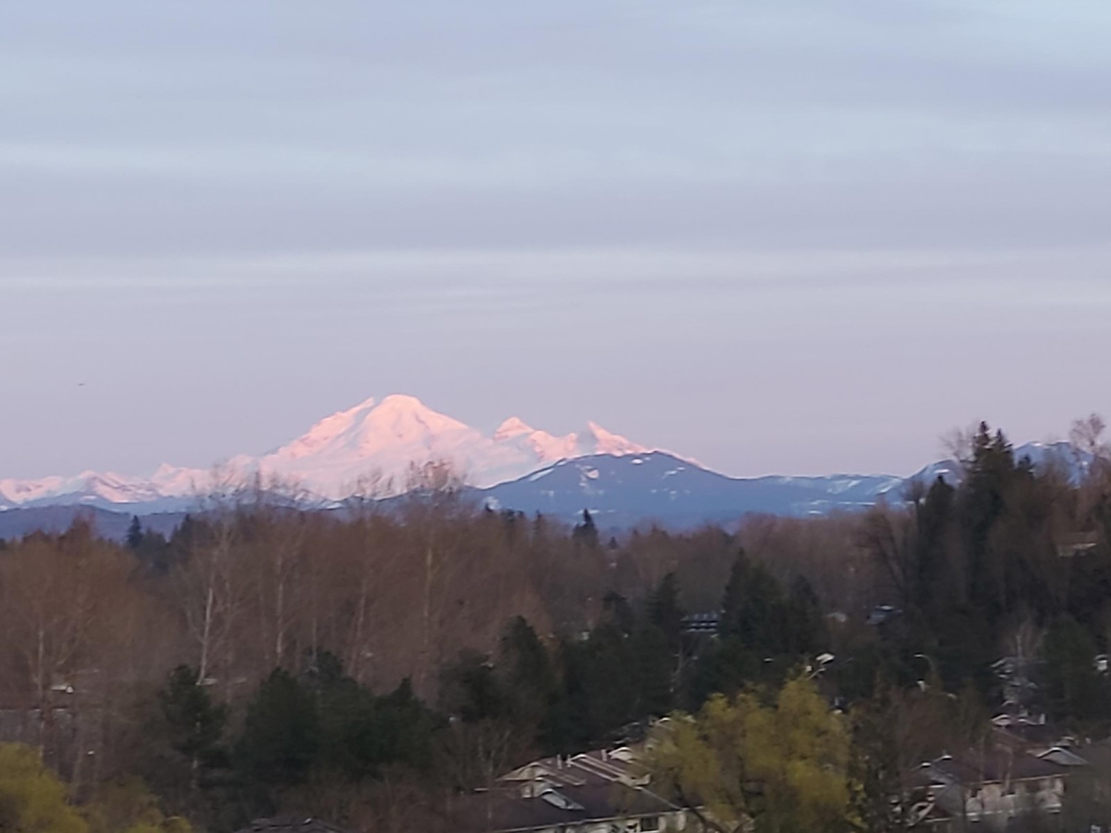 Photo 38 of 17 3354 Horn Street, Abbotsford BC