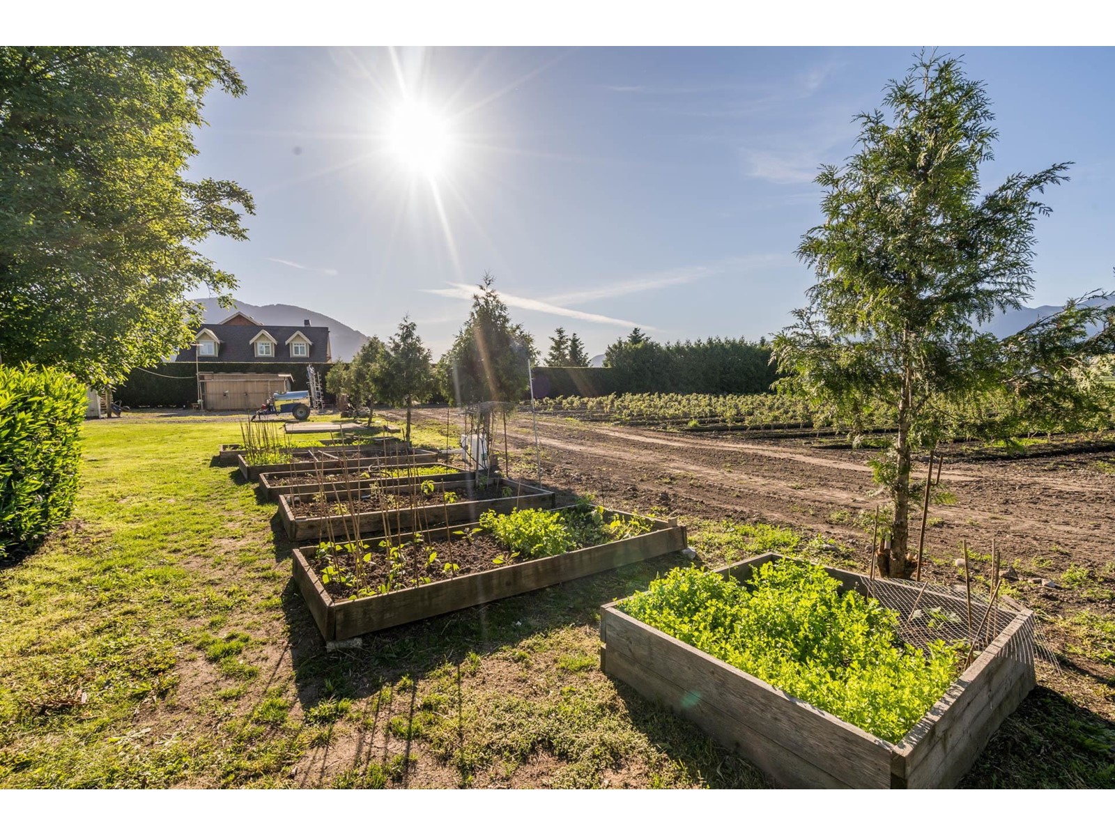42505 YALE ROAD, Greendale, Sardis - Greendale