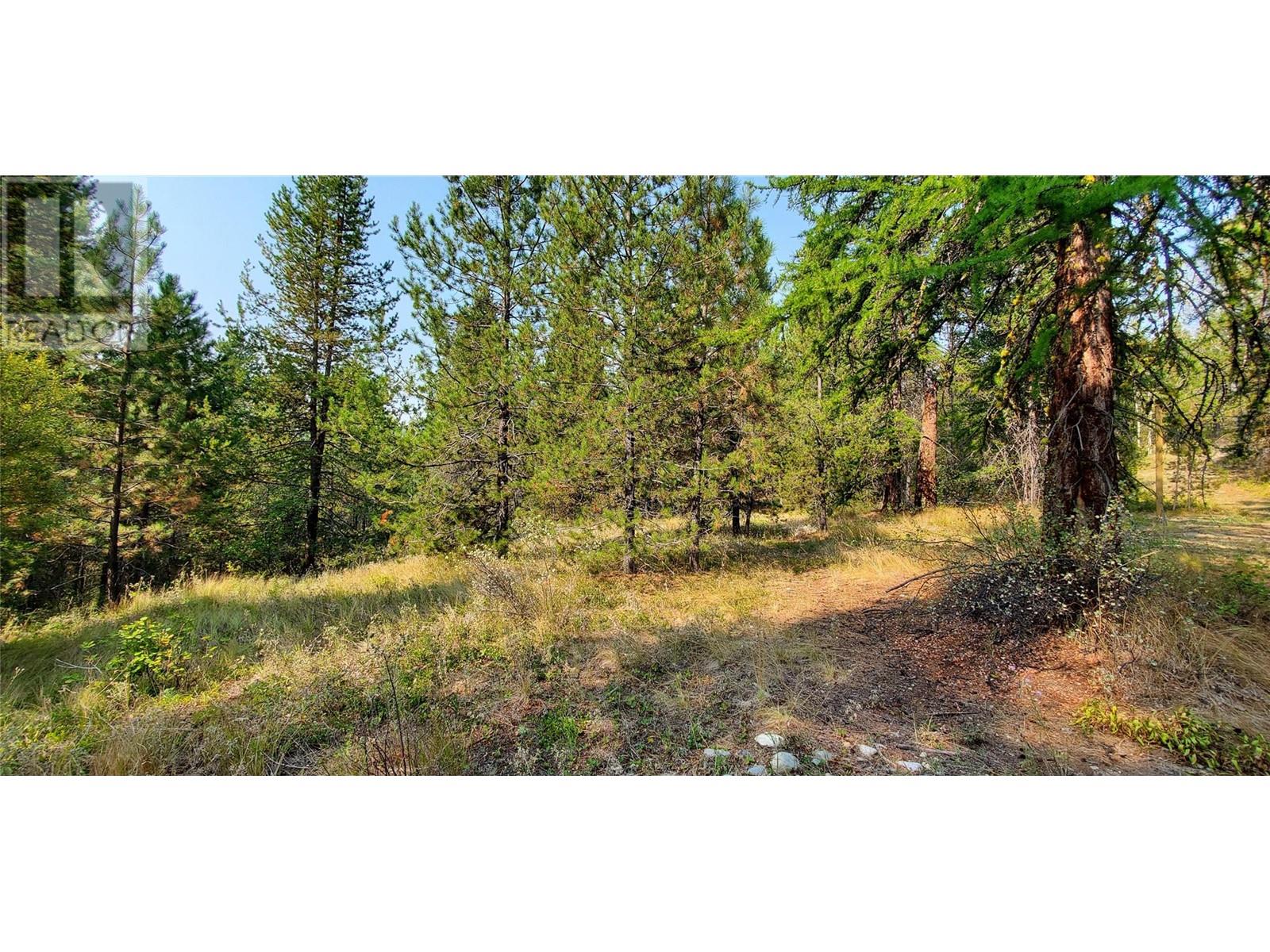 1670 MT BALDY Road, Rock Creek